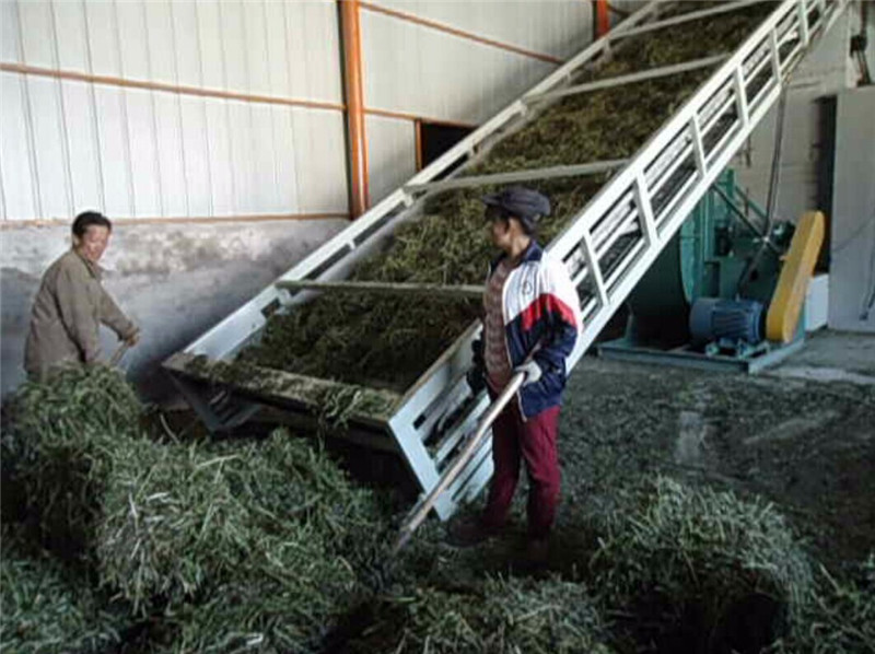 貓尾草帶式烘干機