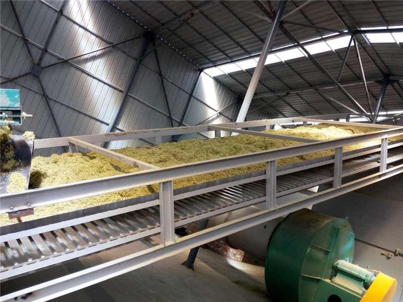 高檔牧草帶式烘干機